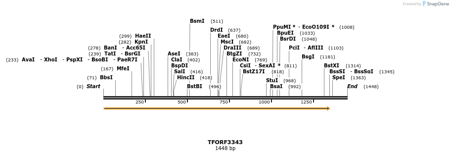 286572_map