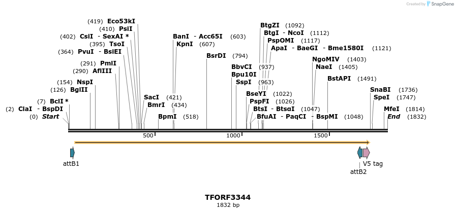 286575_map