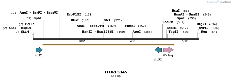 286578_map