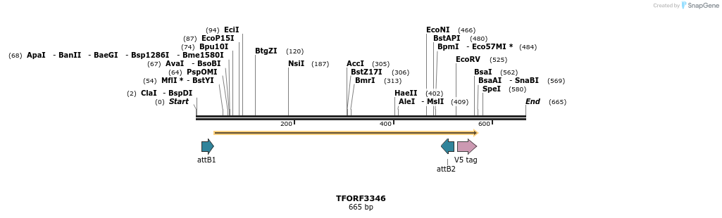 286581_map
