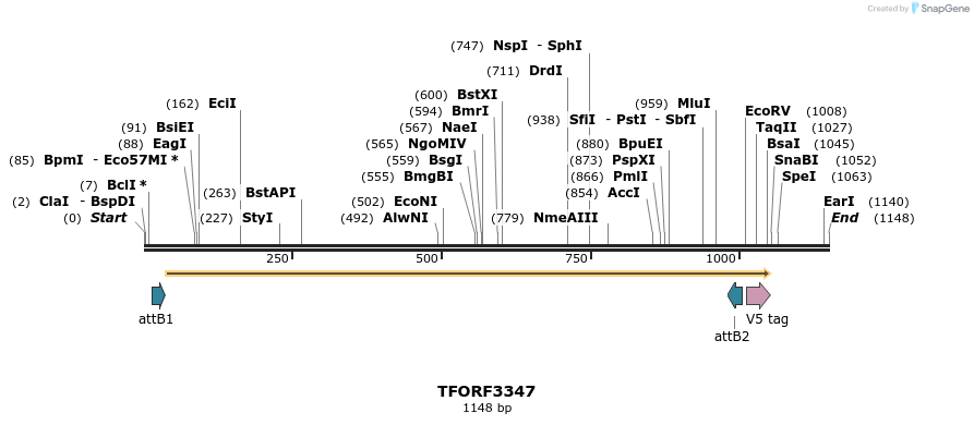 286584_map