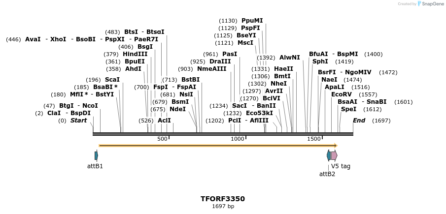 286593_map