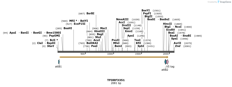 286596_map