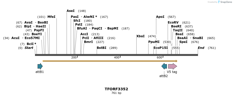 286599_map