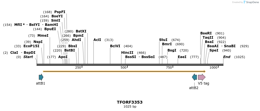 286602_map