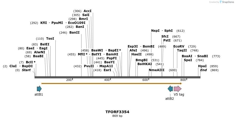 286605_map