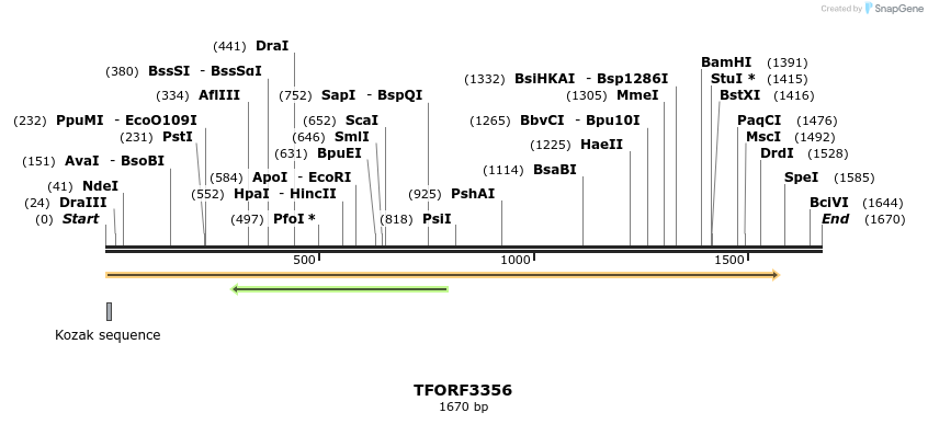 286611_map