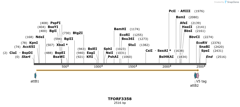 286617_map