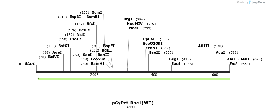 28662_map