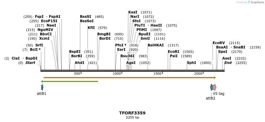 286620_map