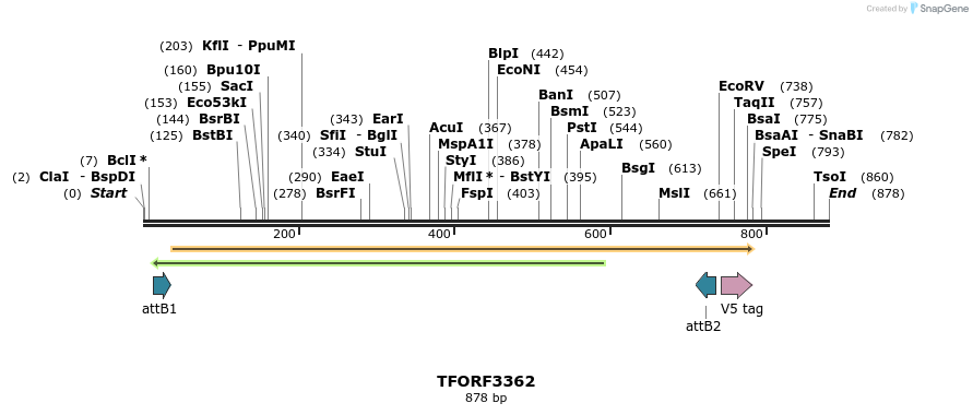 286629_map