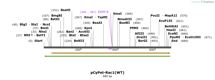 28663_map