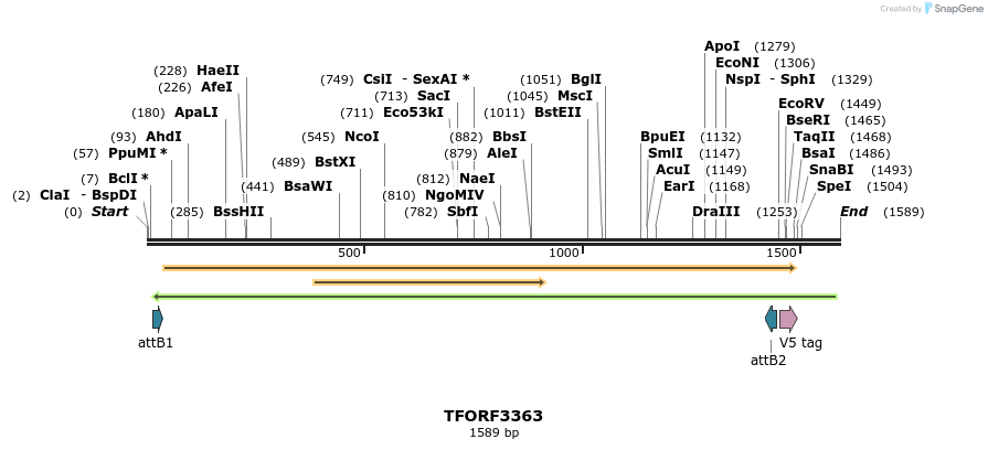 286632_map