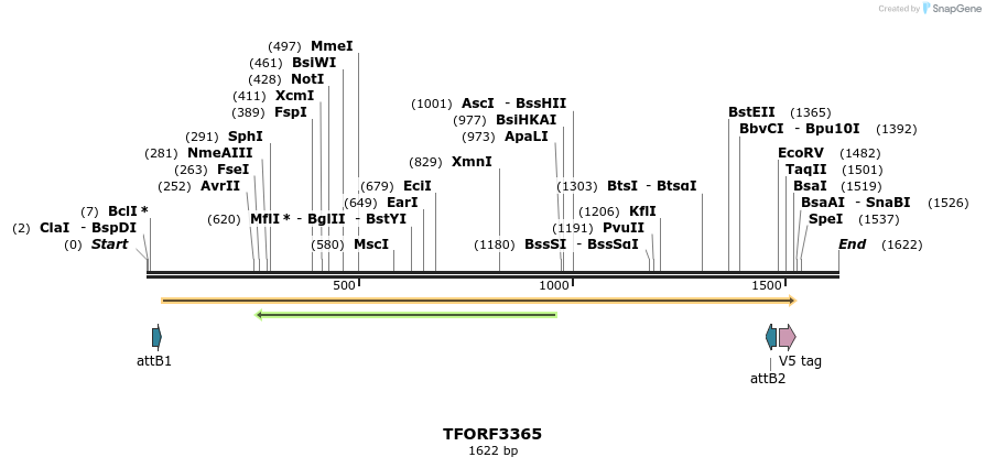 286638_map