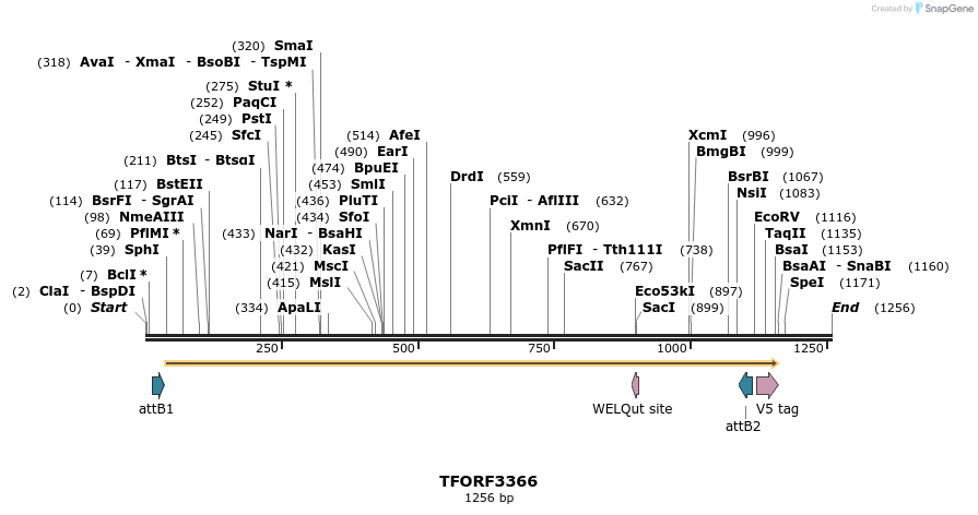 286641_map