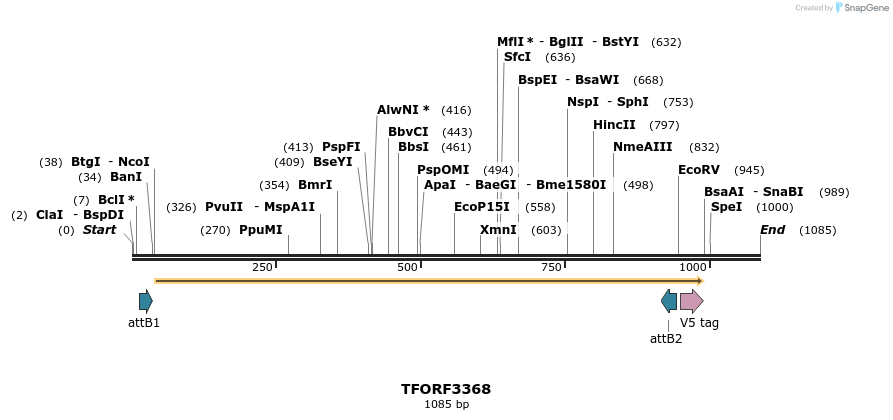 286647_map