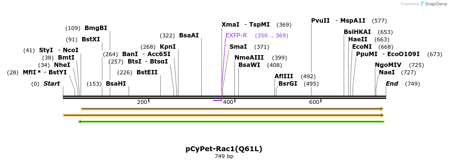 28665_map