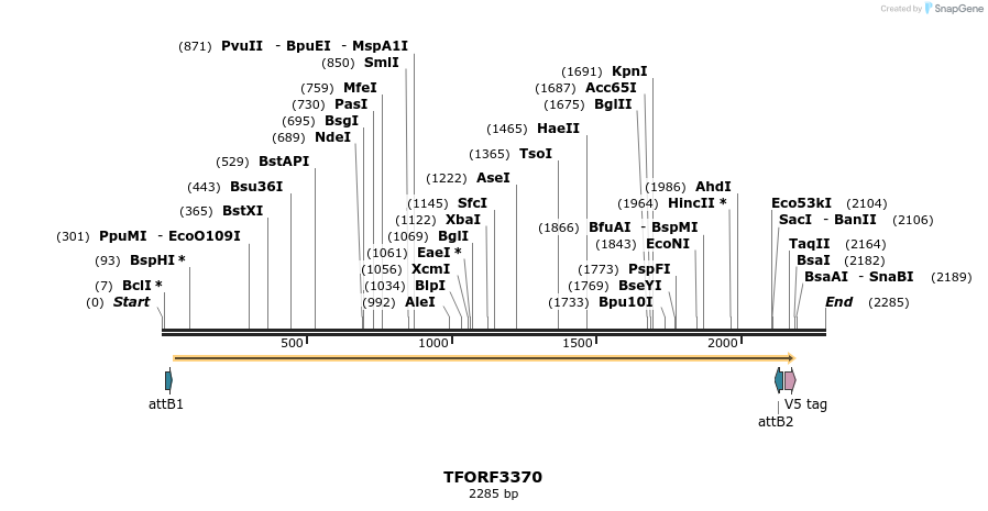 286653_map