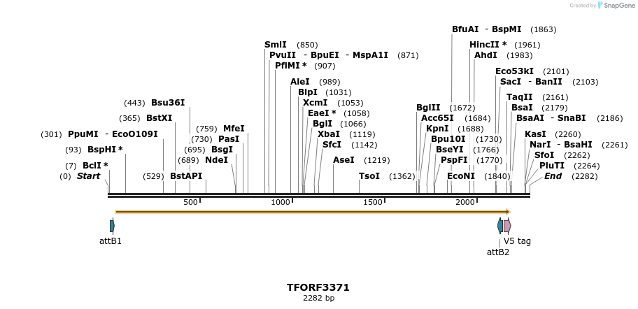 286656_map