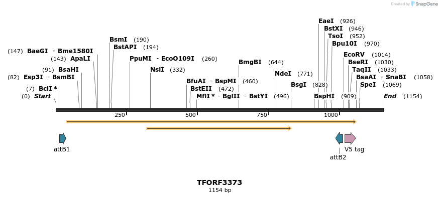 286662_map