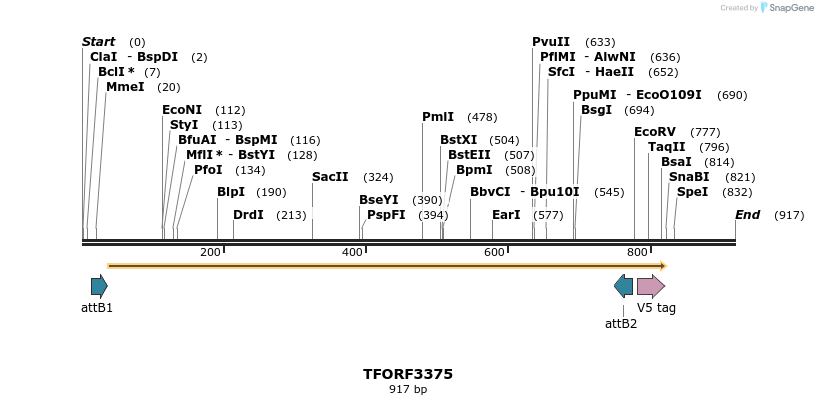 286668_map