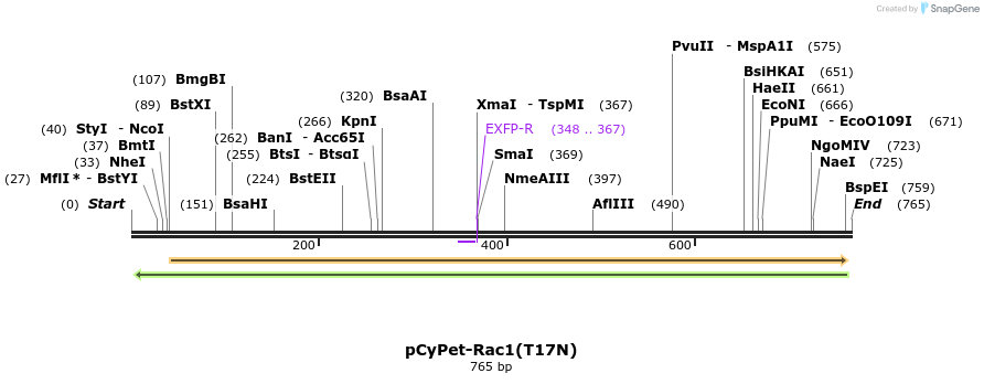 28667_map