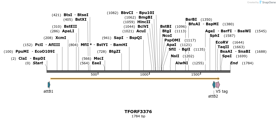 286671_map