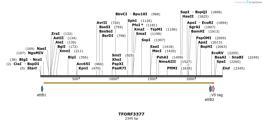 286674_map