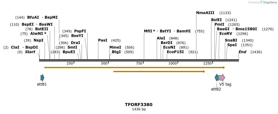 286683_map