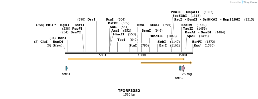 286689_map