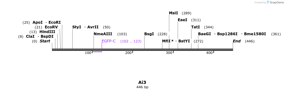 28669_map