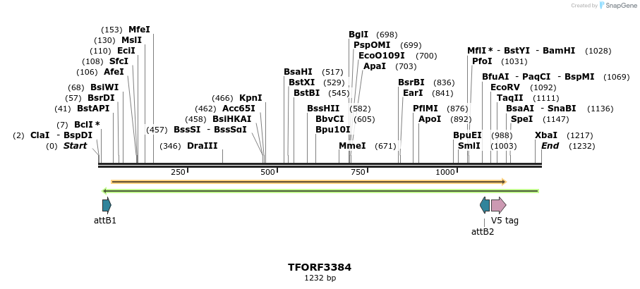 286695_map