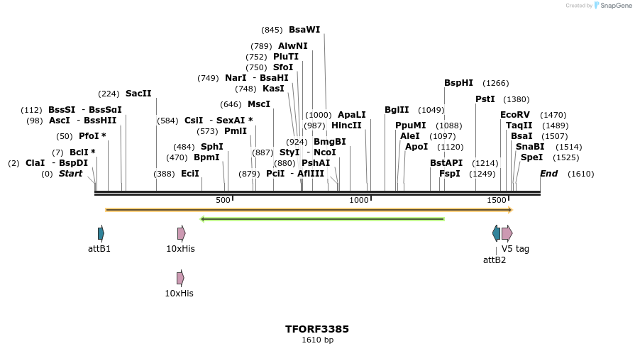 286698_map