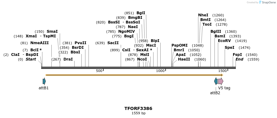 286701_map