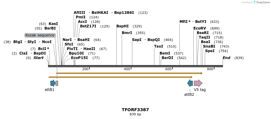 286704_map