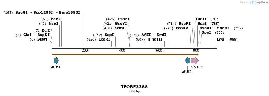 286707_map