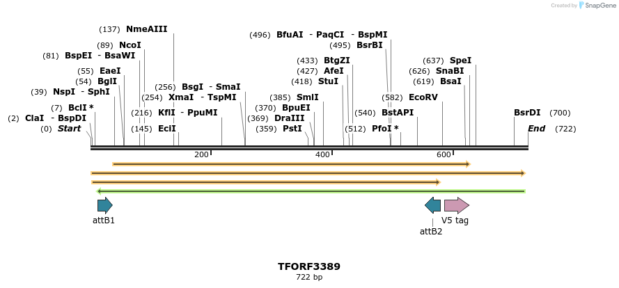286710_map
