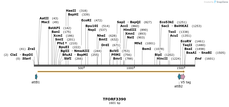 286713_map