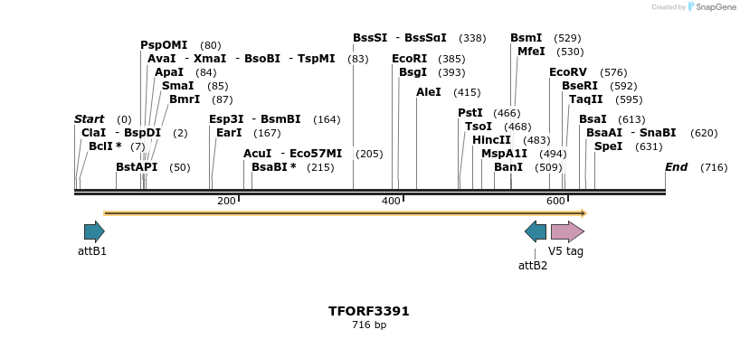 286716_map