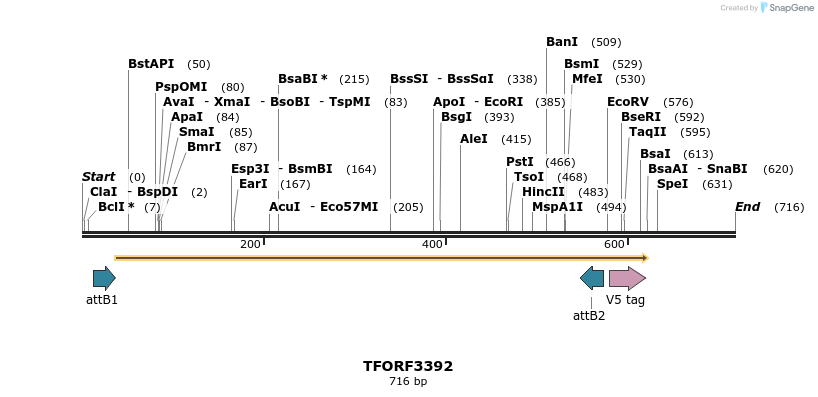 286719_map