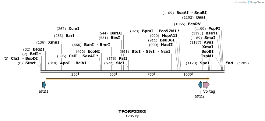 286722_map