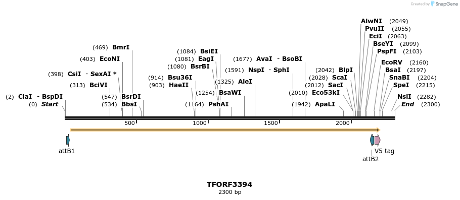 286725_map