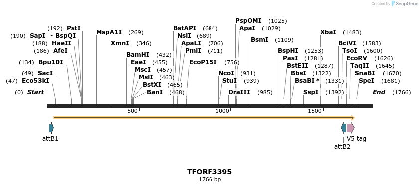 286728_map