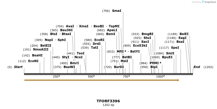 286731_map
