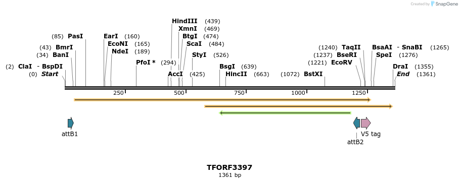 286734_map