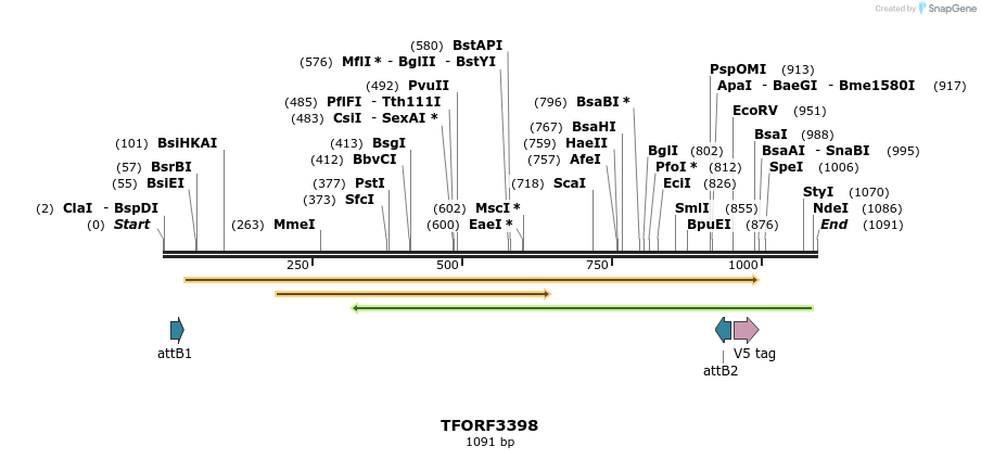 286737_map