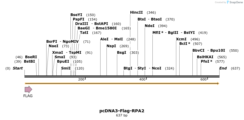 28674_map