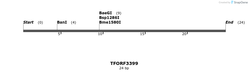286741_map