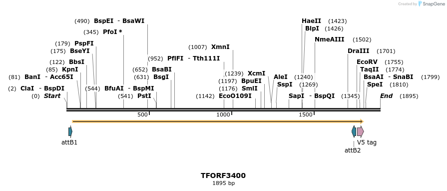 286743_map