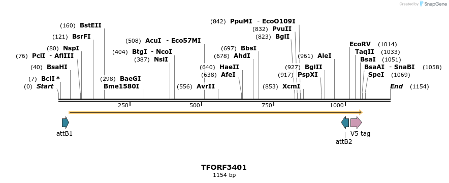 286746_map